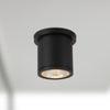 Nordic 4-in (3-in Dia.) Black LED Exterior Ceiling