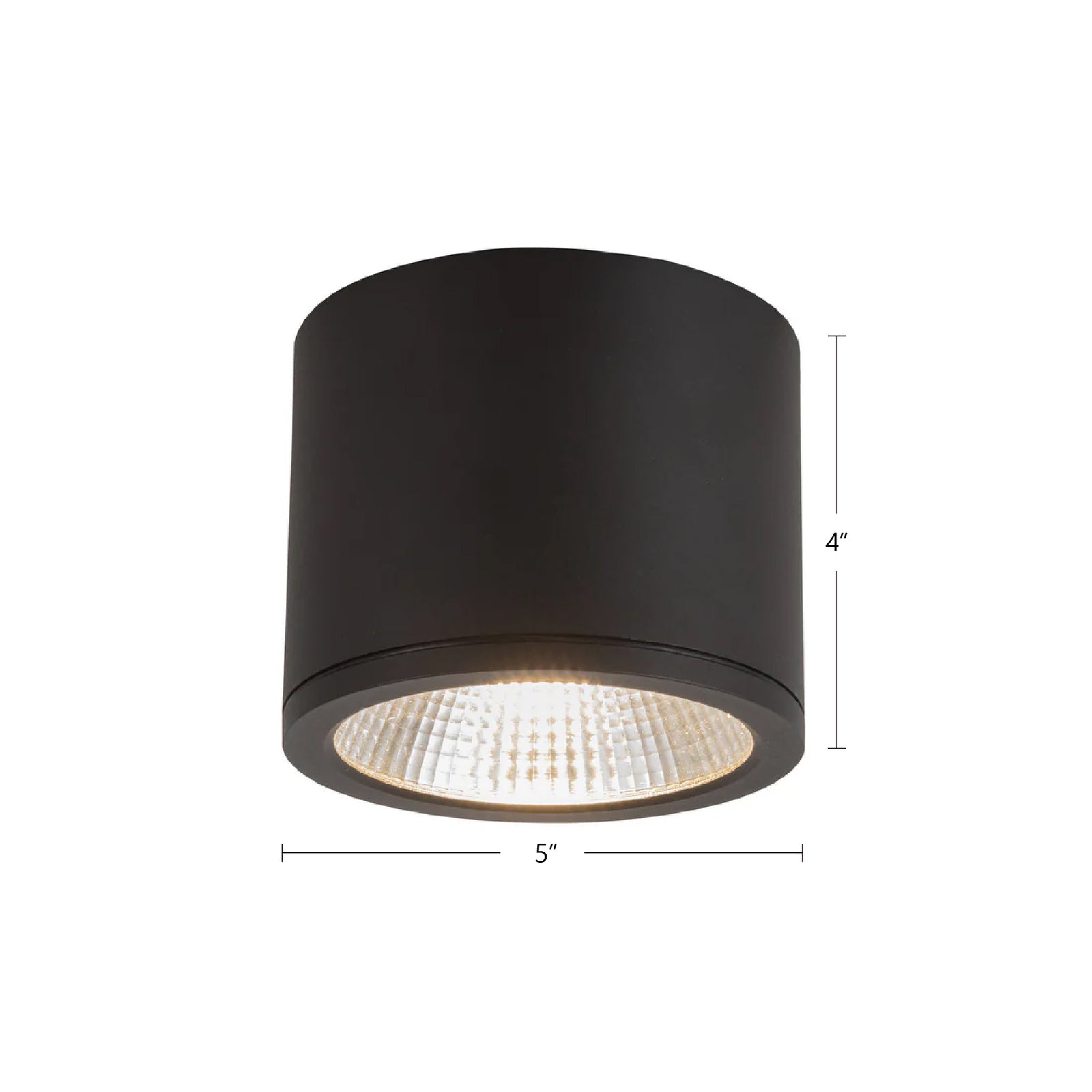 Nordic 4-in (5-in Dia.) White LED Exterior Ceiling