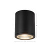 Nordic 6-in (5-in Dia.) Black LED Exterior Ceiling