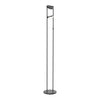 Novel 68-in Black LED Floor Lamp