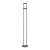 Novel 68-in Black LED Floor Lamp