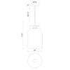 Sylvia 8-in Brushed Gold/Clear Glass 1 Light Pendant