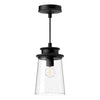 Quincy 6-in Clear Bubble Glass/Textured Black 1 Light Exterior Pendant