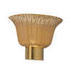Rancho 14-in Brushed Gold Socket Wall/Vanity Light