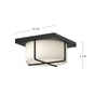 Regalo 10-in Black/Opal Glass LED Flush Mount