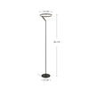 Roda 13-in Black LED Floor Lamp