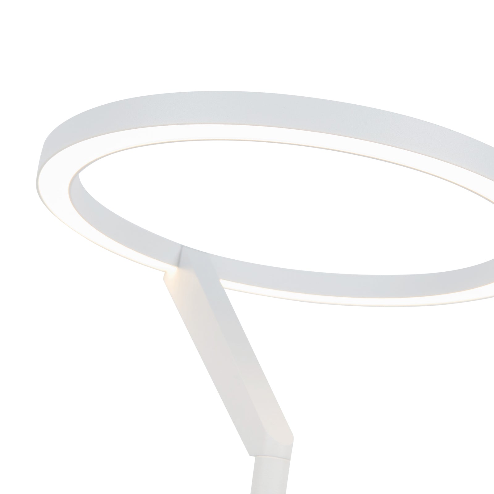 Roda 8-in White LED Table Lamp