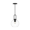 Soji 8-in Clear Glass/Matte Black 1 Light Pendant