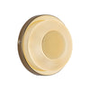 Stephord 4-in Metallic Brass/Frosted Glass LED Wall Sconce