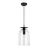 Sylvia 8-in Matte Black/Clear Glass 1 Light Pendant