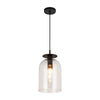 Sylvia 8-in Matte Black/Clear Glass 1 Light Pendant