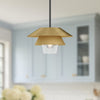 Tetsu 13-in Brushed Gold/Clear Glass 1 Light Pendant