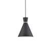 Vanderbilt 10-in Black With Gold Detail 1 Light Pendant