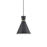 Vanderbilt 10-in Black With Gold Detail 1 Light Pendant