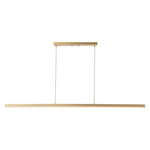 Vega 56-in Brushed Gold LED Linear Pendant