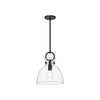 Waldo 11-in Matte Black/Clear Glass 1 Light Pendant