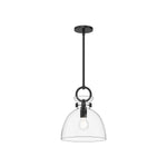 Waldo 11-in Matte Black/Clear Glass 1 Light Pendant