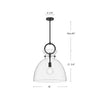 Waldo 18-in Matte Black/Clear Glass 1 Light Pendant