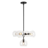 Willow 18-in Clear Glass/Matte Black 5 Lights Chandeliers