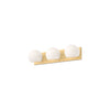 Willow 22-in Brushed Gold/Opal Matte Glass 3 Lights Vanity