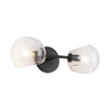 Willow 17-in Clear Glass/Matte Black 2 Lights Wall/Vanity