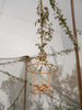 Bamboo Chandelier