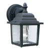 Hawthorne 8.5'' High 1-Light Outdoor Sconce - Black